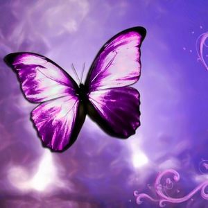 Meet your Posher, Gods